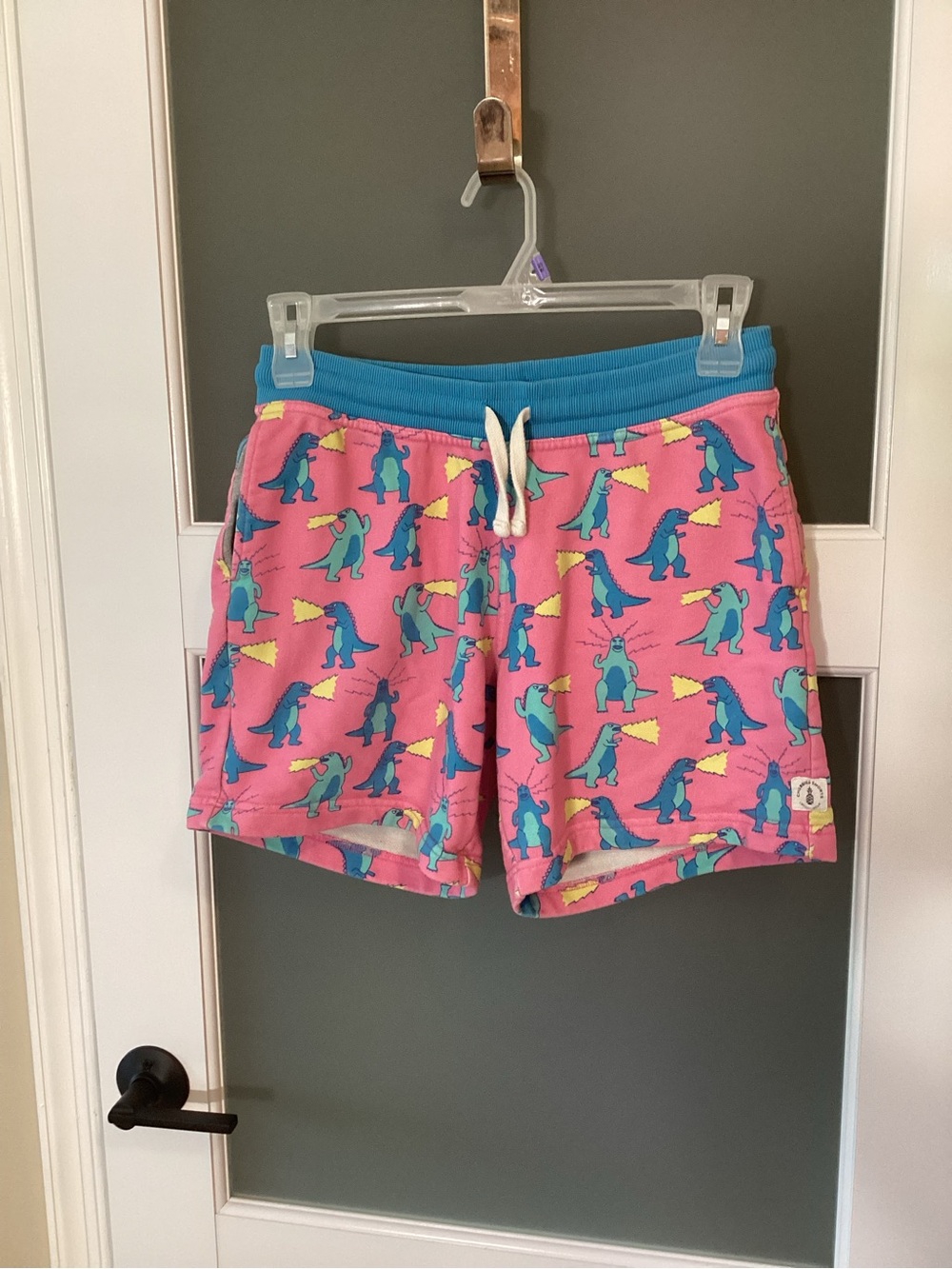 Chubbies Dinosaur Men’s Small Lounge Wear 7’ Shorts - small